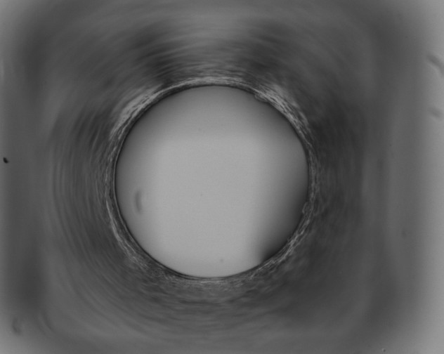 X0000091720001200709211010