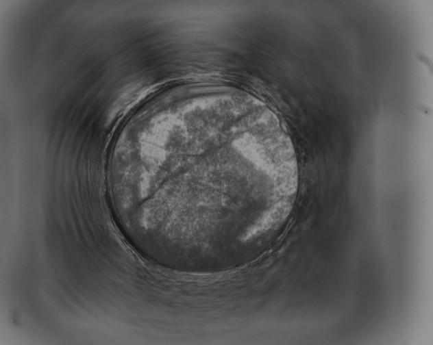 X0000091720002200709211010