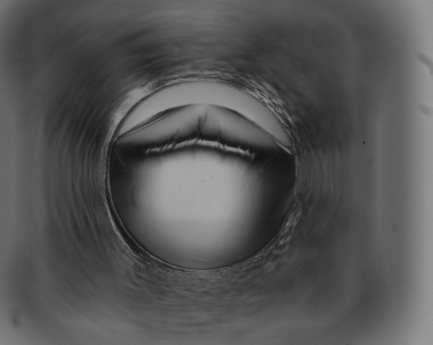 X0000091720003200709211010