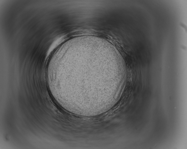 X0000091720004200709211010