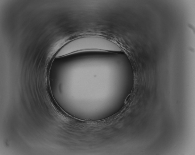 X0000091720005200709211010