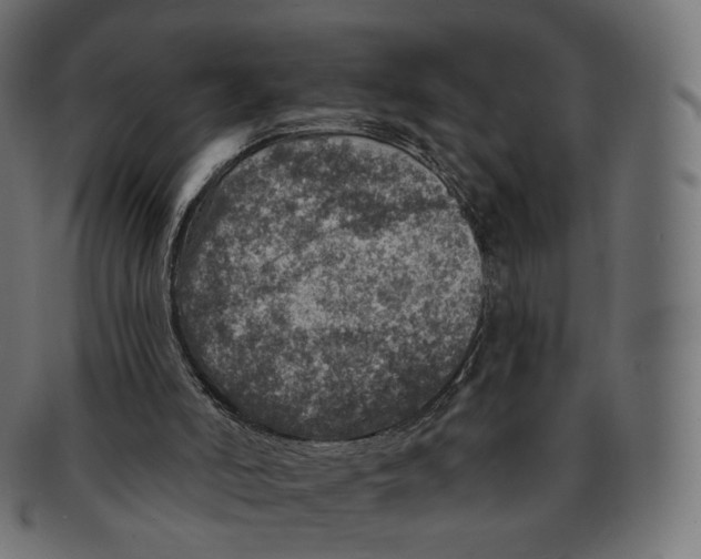 X0000091720006200709211010