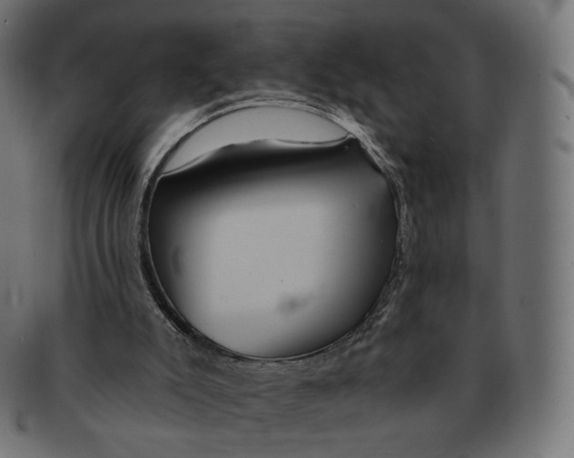 X0000091720007200709211010