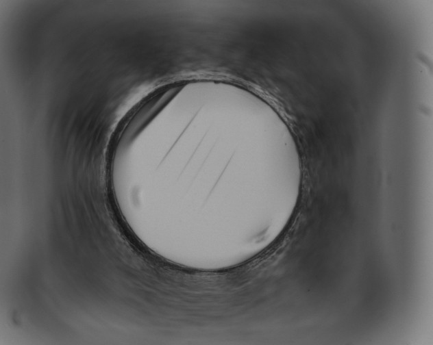 X0000091720008200709211010