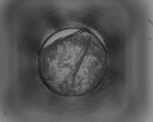 X0000091720010200709211010