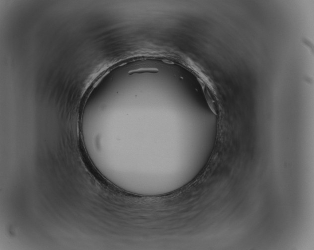 X0000091720011200709211010