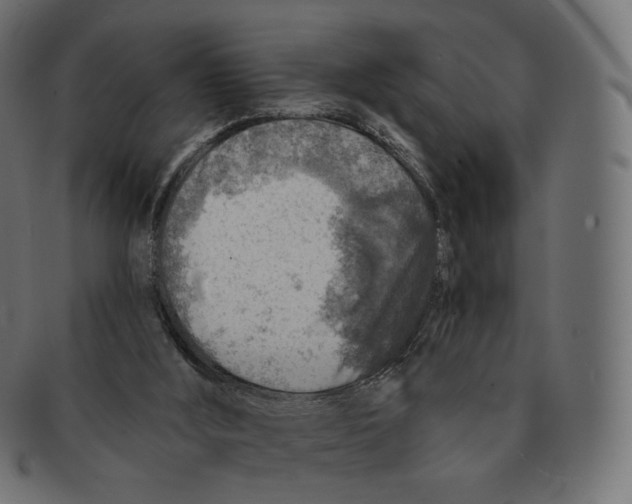 X0000091720012200709211010