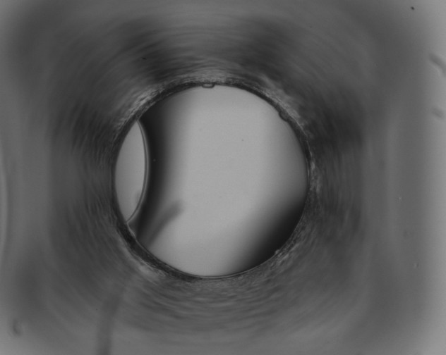 X0000091720013200709211010