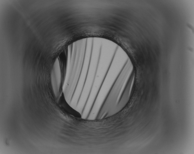 X0000091720017200709211010