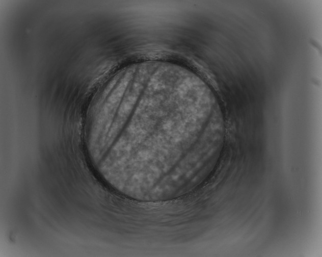 X0000091720018200709211010