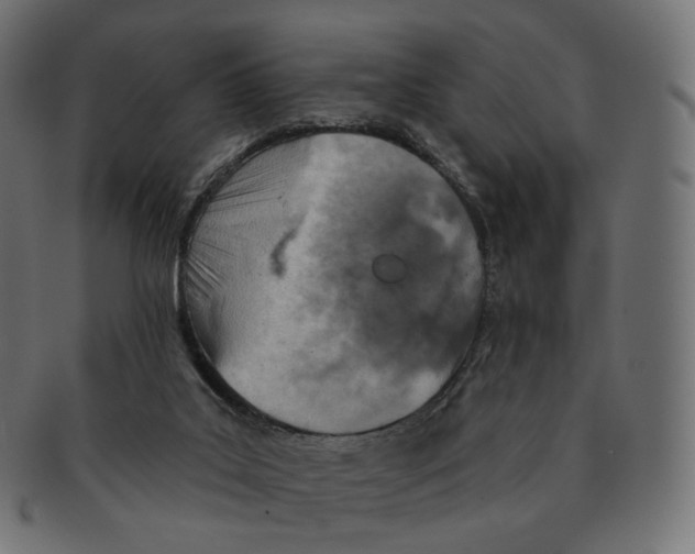 X0000091720019200709211010