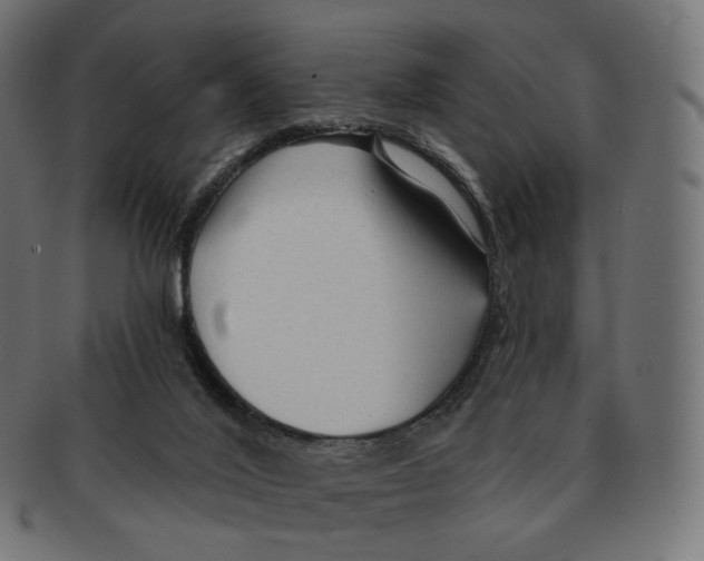 X0000091720020200709211010