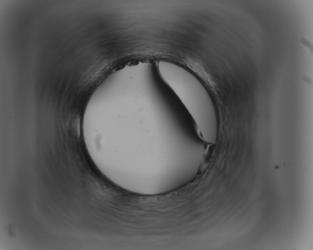 X0000091720021200709211010