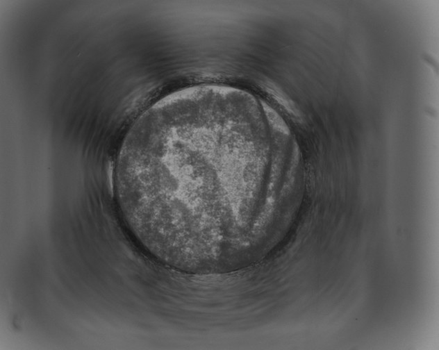 X0000091720022200709211010