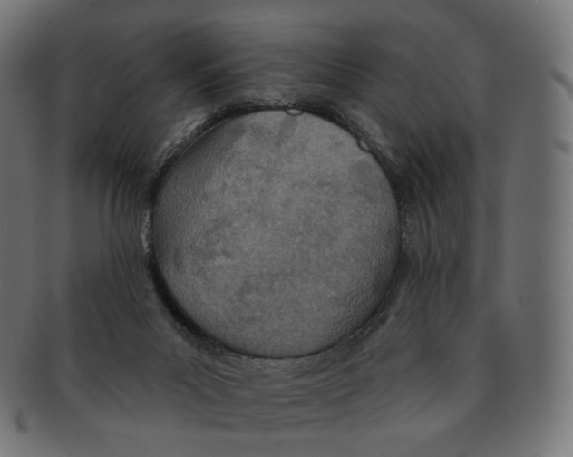 X0000091720023200709211010