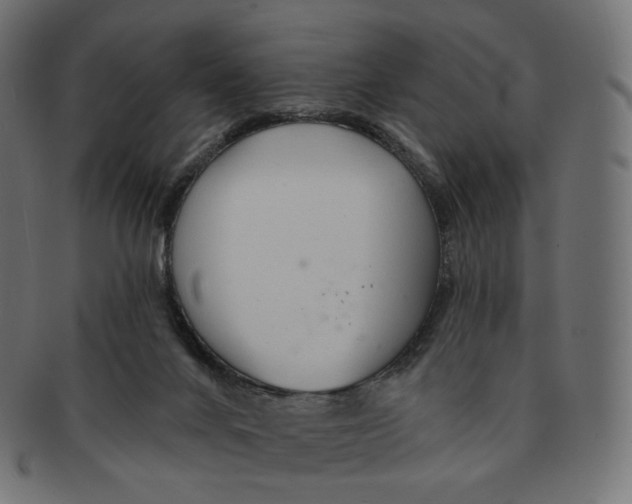 X0000091720024200709211010