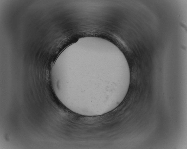 X0000091720025200709211010