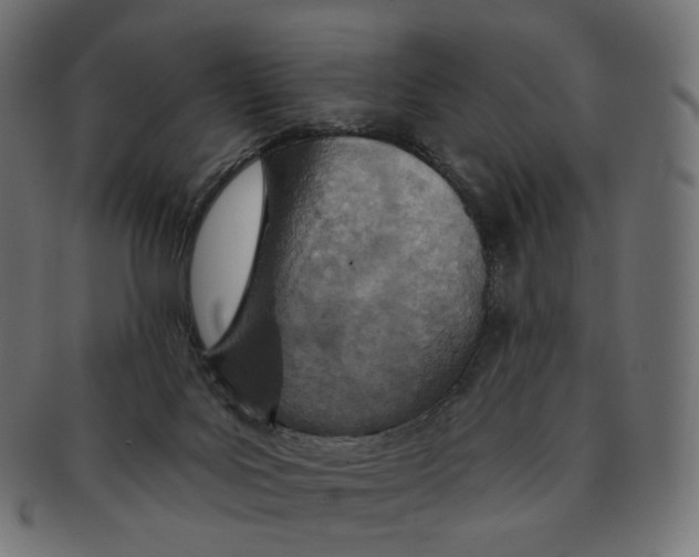 X0000091720027200709211010