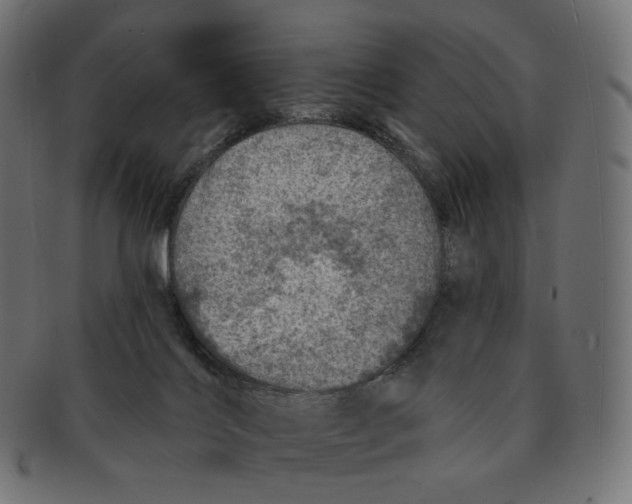 X0000091720028200709211010