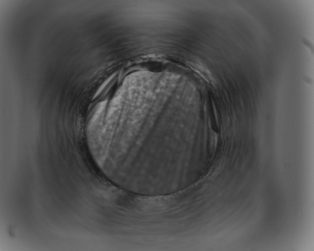 X0000091720029200709211010