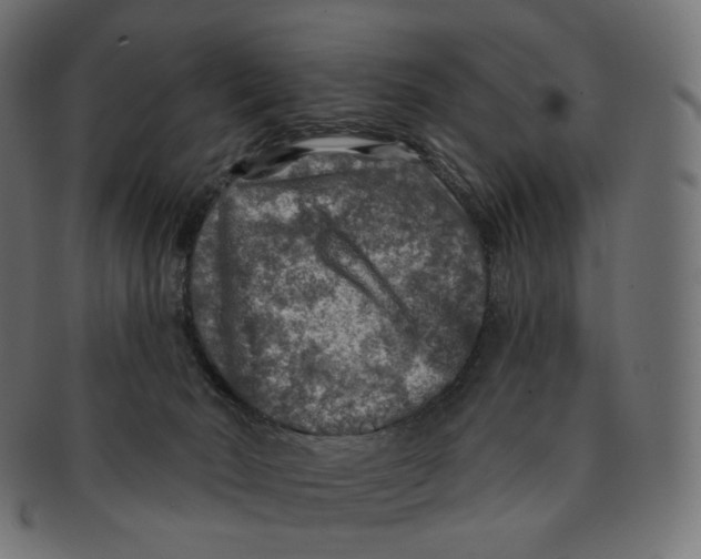 X0000091720030200709211010