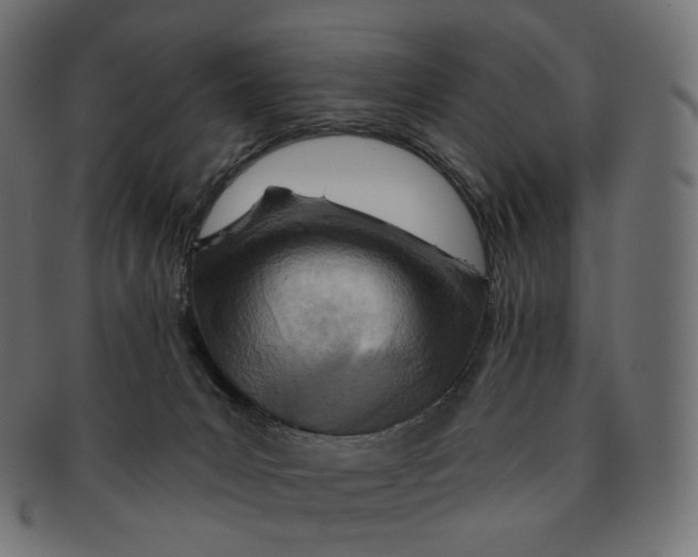 X0000091720031200709211010