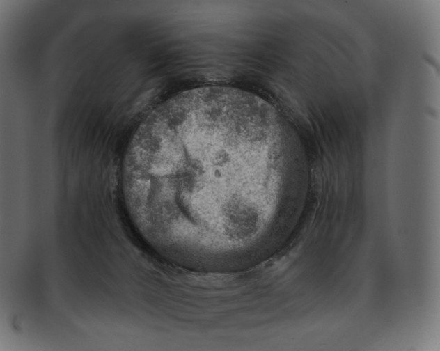 X0000091720032200709211010