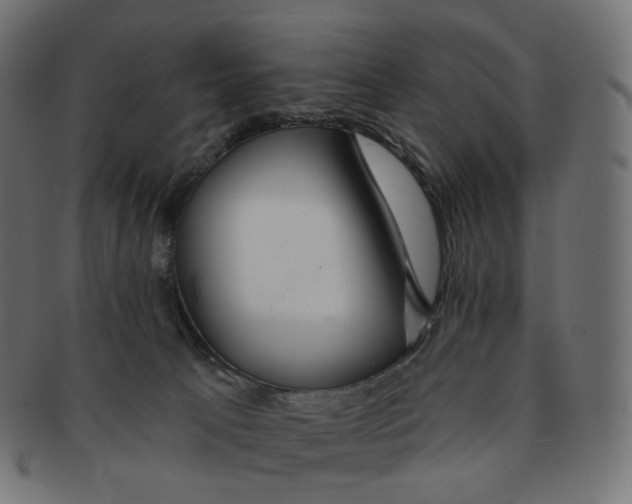 X0000091720033200709211010