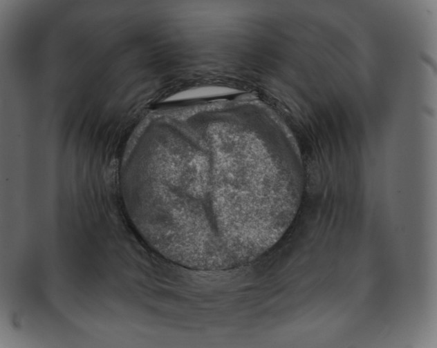 X0000091720034200709211010