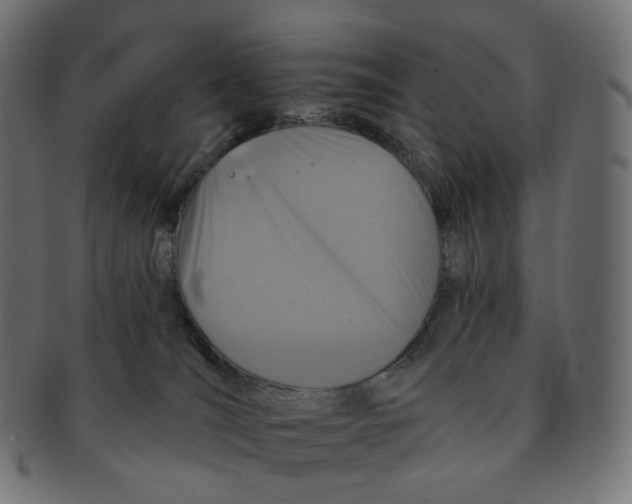 X0000091720036200709211009