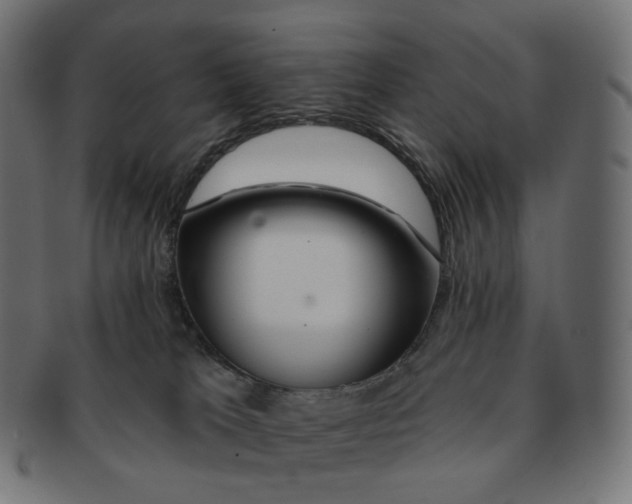 X0000091720037200709211009