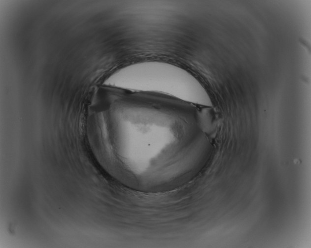 X0000091720039200709211009