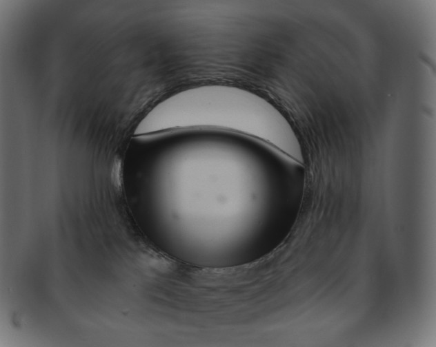 X0000091720041200709211009