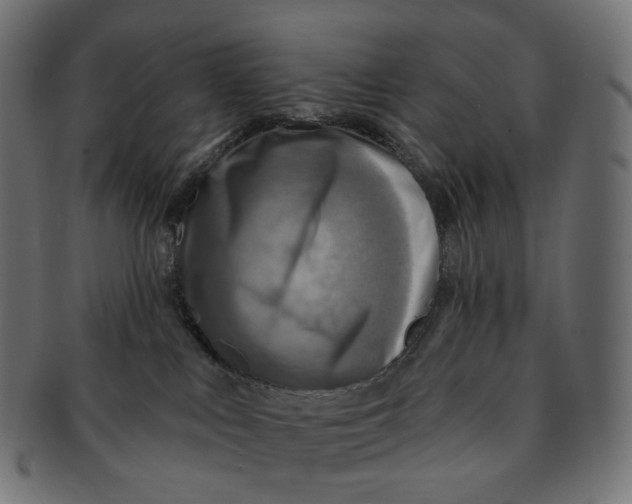 X0000091720043200709211009