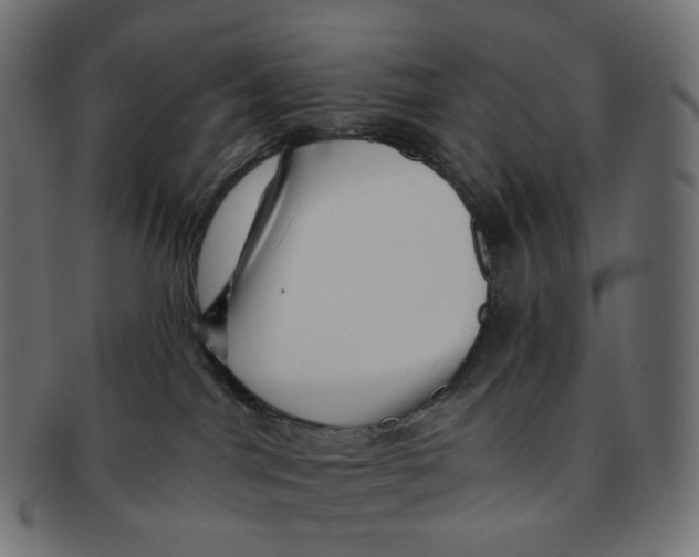 X0000091720044200709211009