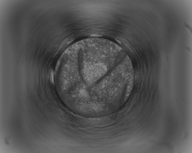 X0000091720046200709211009