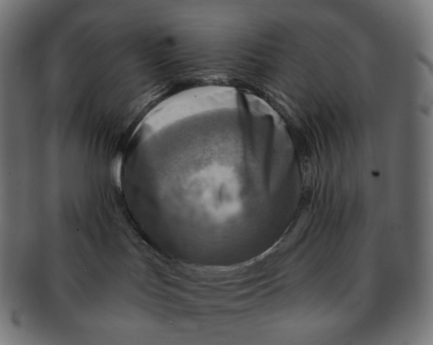 X0000091720047200709211009