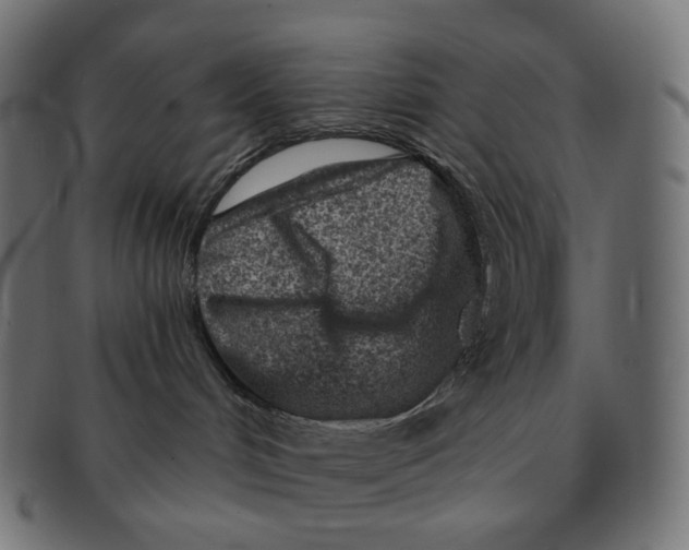 X0000091720048200709211009