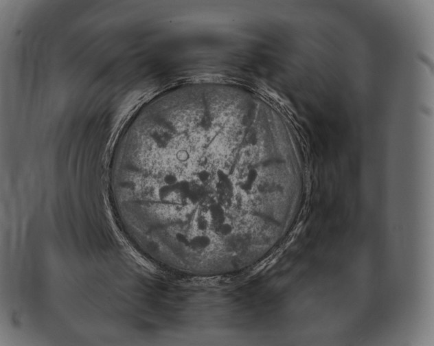 X0000091720049200709211009