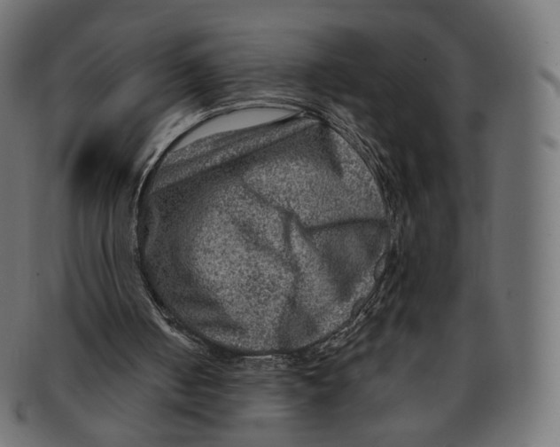 X0000091720050200709211009