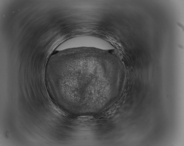 X0000091720051200709211009