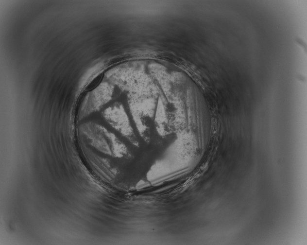 X0000091720053200709211009