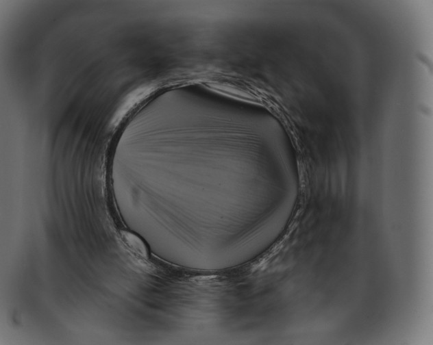 X0000091720054200709211009