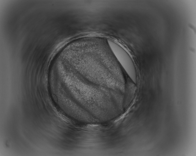 X0000091720055200709211009