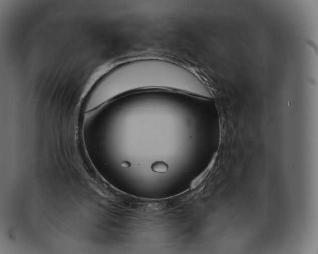 X0000091720056200709211009