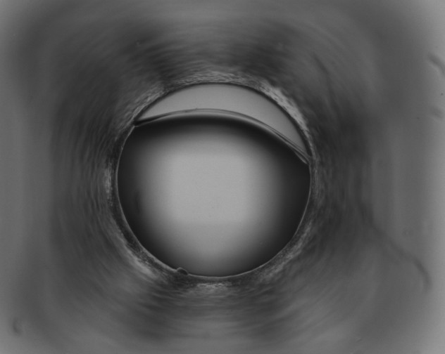 X0000091720057200709211009