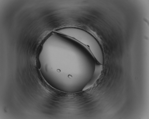 X0000091720060200709211009