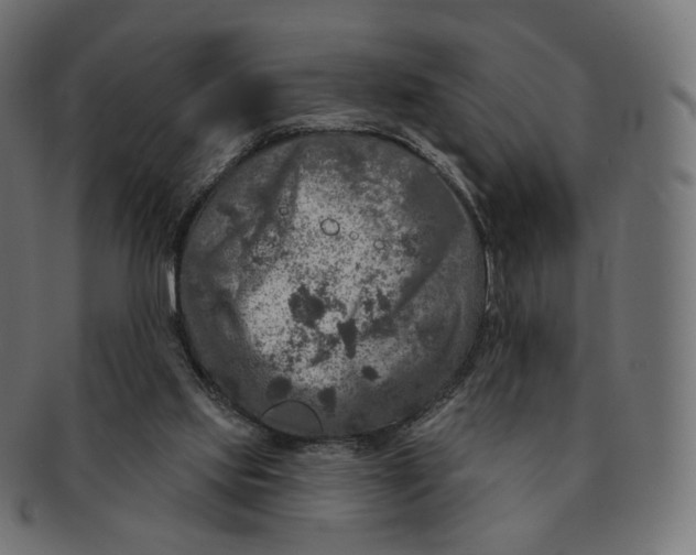 X0000091720061200709211009