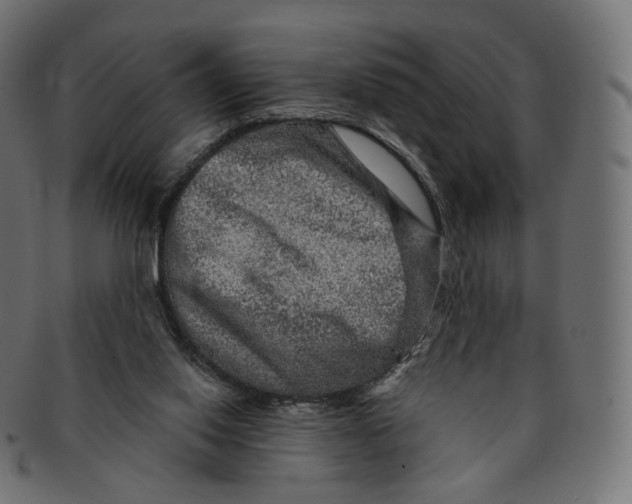 X0000091720062200709211009