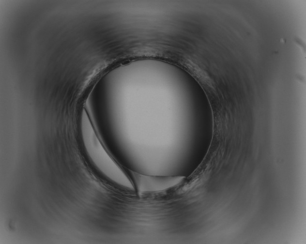 X0000091720064200709211009